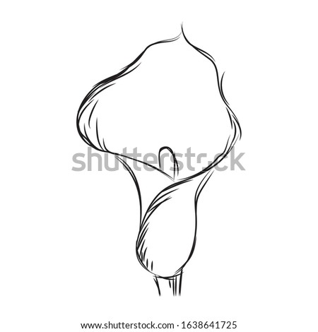 Isolated sketch of a flower - Vector illustration