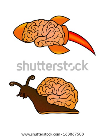 Slow and fast brain vector illustration