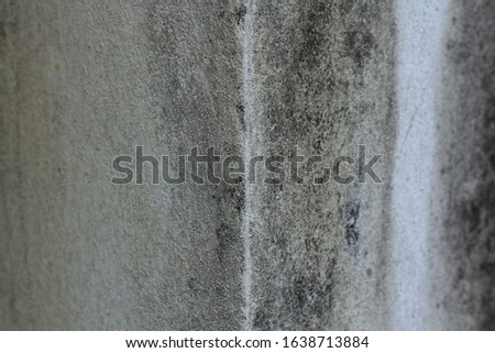 black mold on old white cement wall.  dirty and scary black and white wall.