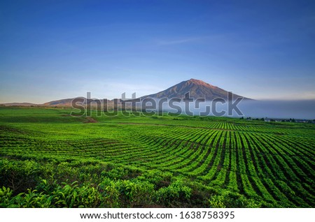 Gunung Kerinci dan dikenal sebagai Gunung Gedang, Berapi Kurinci, Kerinchi, Korinci, atau Puncak Indrapura) adalah gunung tertinggi di Sumatra, Royalty-Free Stock Photo #1638758395