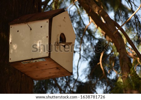Beautiful picture of artificial house for birds