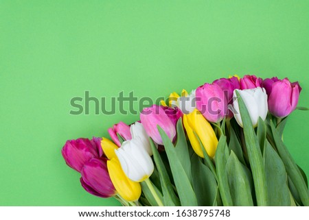 Top above overhead view photo picture of beautiful tulips isolated bright green background