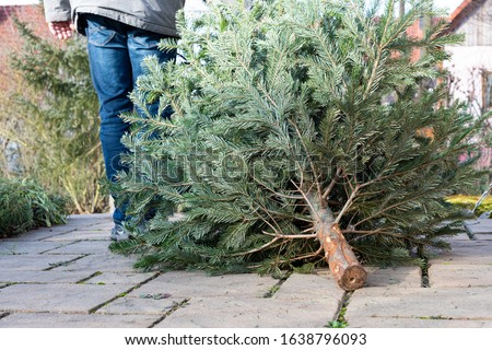 The legs of a man pulling the old christmas tree away Royalty-Free Stock Photo #1638796093