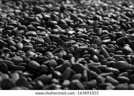 small stone on the ground Royalty-Free Stock Photo #163891055