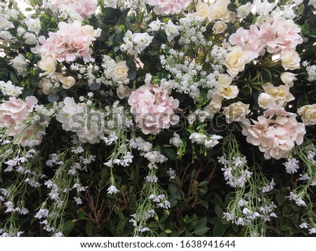 bouquet of roses in the garden