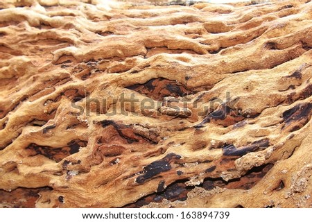 Wood Textured Background - Natural Beauty through Hardwood