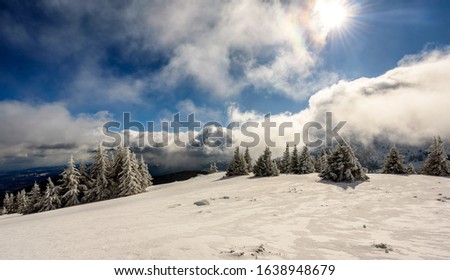 Awesome winter landscape with trees covered in snow. Frosty mountain day, exotic wintry scene.