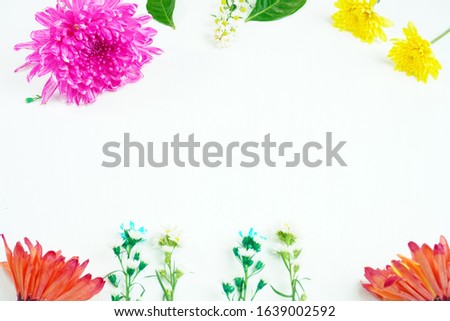 Collection of colorful flowers on a white background