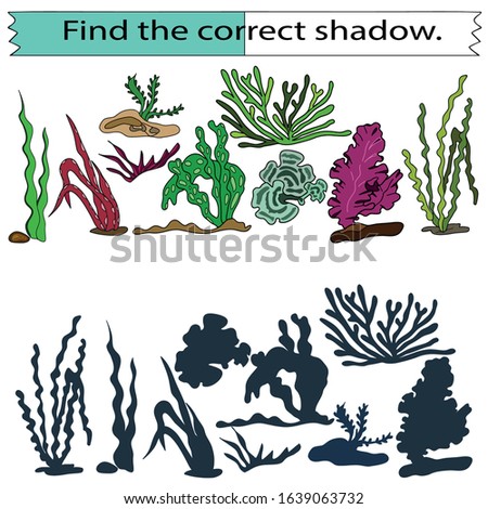Educational game for children. Find the correct shadow. Seaweed set. Hand drawn. Color vector illustration.