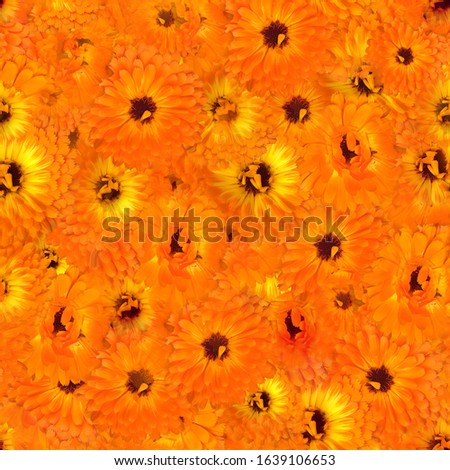 Gerbera Orange floral tiling pattern repeat 