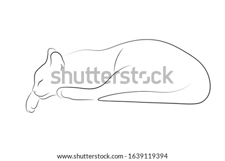 Cat sleeping simple linear design. Black thin line sketch isolated on white background. Vector illustration