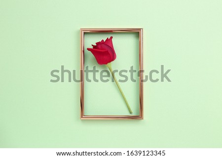 Red rose flower with photo frame on green background. Floral composition, flat lay, top view, copy space
