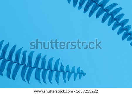 Color of the Year 2020 classic blue background with leaves and free space