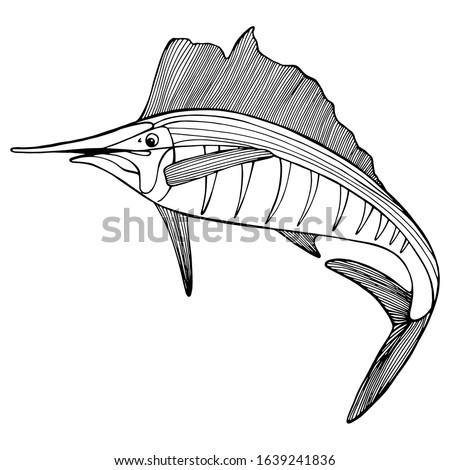Swordfish, Xiphias gladius with small details. in black and white. isolated illustration, side view, fishing. Fish restaurant, logo. Wild life. Hand drawing coloring book for children and adults.