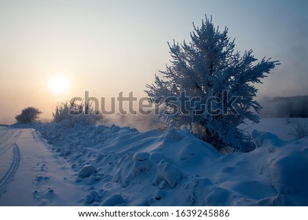 Winter nature sunset tree silhouette. Winter sunset tree snow patterns. Dense fog over the river in winter. Sunrise in the thick winter fog. landscape Trees with snow in a park.