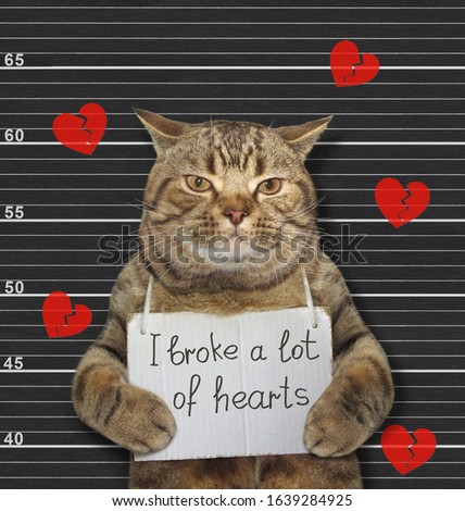 The beige cat was arrested. He has a sign around his neck that says I broke a lot of hearts. Lineup black background.