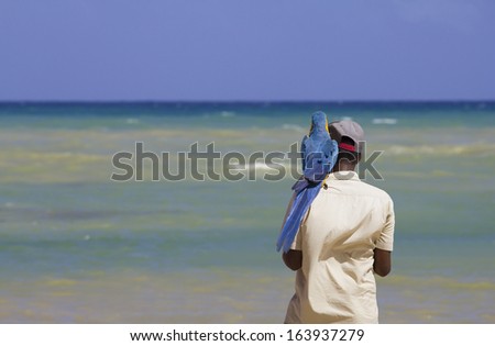 black man looking at the ocean with a blue parrot on his shoulder 