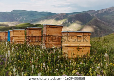 Bee hives in mountains near Khinalug village. Guba district, Azerbaijan Royalty-Free Stock Photo #1639405858