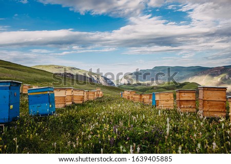 Bee hives in mountains near Khinalug village. Guba district, Azerbaijan Royalty-Free Stock Photo #1639405885