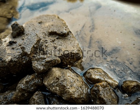 The stones in a puddle.