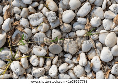 picture of pebbles with dry leaves and grass