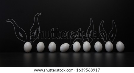 white eggs on a black background