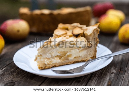 American apple Tsvetaevsky jellied open pie piece on a plate, close-up, on a dark wooden background. Flat lay