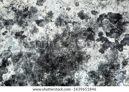 Old White Grunge Cement Wall Texture Background.