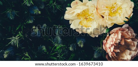 Vintage bouquet of beautiful pale peonies on black. Floristic decoration. Floral background. Baroque old fashiones style image. Natural flowers pattern wallpaper or greeting card