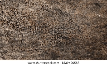 Texture of bark wood. Dark brown bark and Old wood pattern. Old wood Textures Background. 