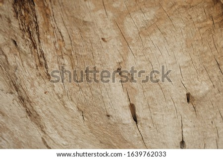 Wood flooring that has long lasting natural pattern