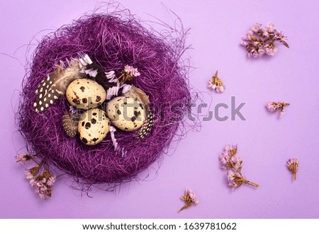 Easter eggs. Quail eggs in a decorative nest on a purple background. Copy space. The concept of Easter celebration.