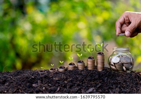 Hand putting money coins like growing graph,plant sprouting from the ground with green  background.