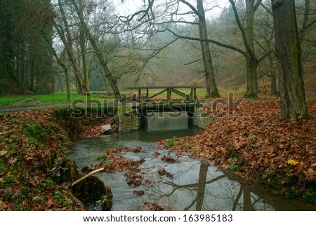 pictures of autumn walks in the park