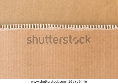 Torn cardboard sheet texture with place for text
