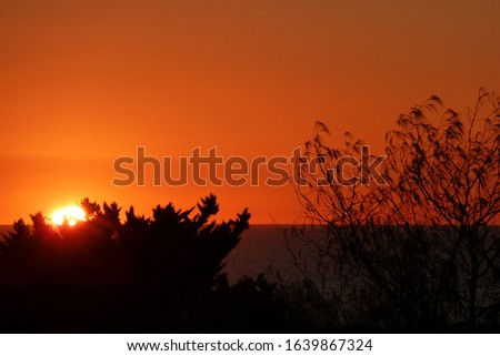 australia sunset ocean romantic view