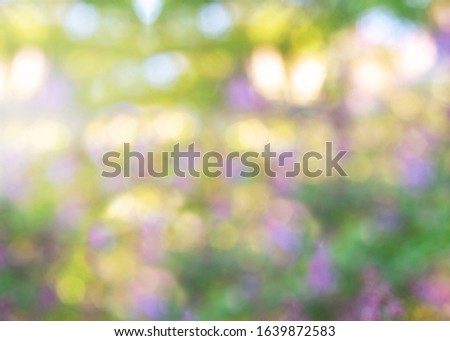 Abstract blur spring background. Green violet and yellow blurred background - Image