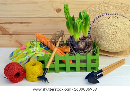 Composition with flowers and various garden tools on a wooden background with a wooden wall.