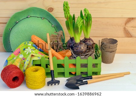 Composition with flowers and various garden tools on a wooden background with a wooden wall.