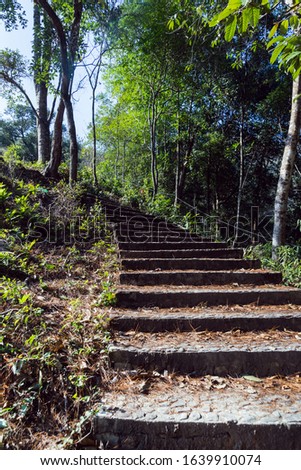 Deciduous climbing stairs and surrounding forest scenery in the resort