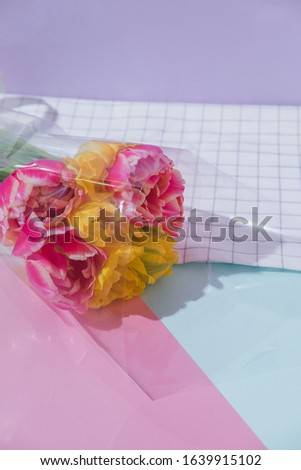 Tulip flowers bouquet on geometry background. Minimal floral composition. Popular International Women's Day concept.