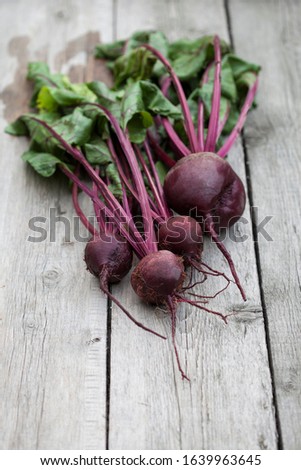 with drops of water are bunches of fresh beets with stems and casts close-up