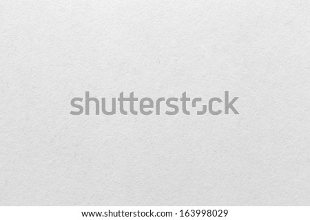 White wall background. A high resolution macro photograph