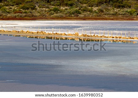 Salt flats, Coorong  National Park, South Australia, Australia.