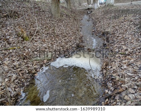 Autumn landscape. A cold stream flows in the forest among fallen dry leaves. Accumulation of dirty foam.