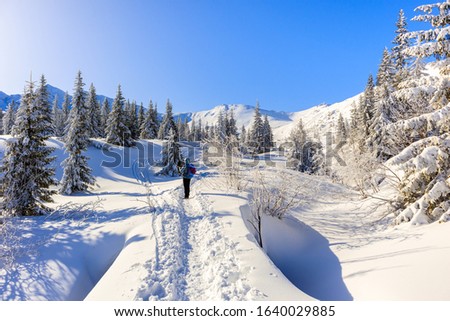Unidentified backpacker on walking trail in Gasienicowa valley during winter time, Tatra Mountains, Poland
