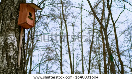 Feeders for birds in the city park