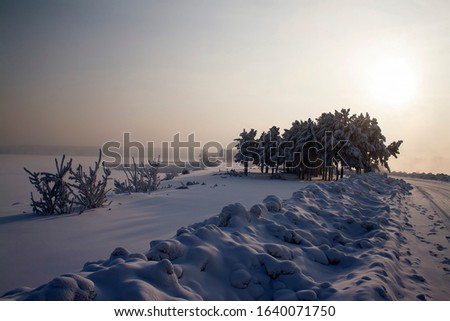 Winter road sunset. Winter sunset tree snow patterns. Dense fog over the river in winter. Sunrise in the thick winter fog. landscape Trees with snow in a park.