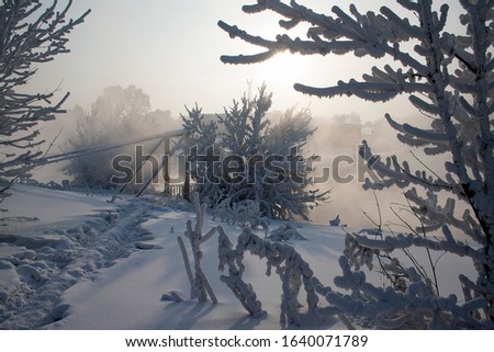 Footpath in the snow to the bridge. Winter sunset tree snow patterns. Dense fog over the river in winter. Sunrise in the thick winter fog. landscape Trees with snow in a park.