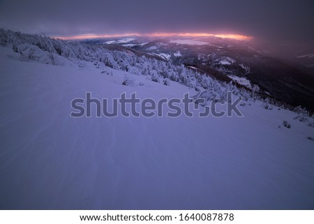 Foggy evening at Vladeasa Peak. 07 February 2020 Vladeasa Natural Park, Apuseni Mountains, Transylvania, Romania.